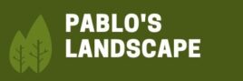 PABLO'S LANDSCAPE